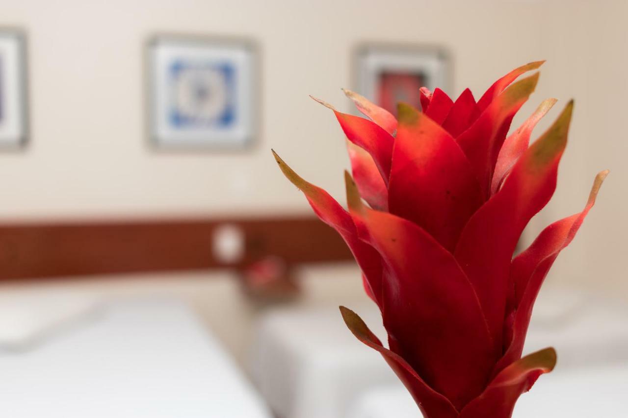 Turis Hotel Centro 캄푸그란지 외부 사진